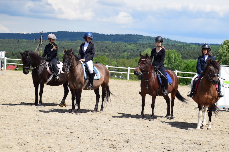 Na miłośników koni huculskich w Regietowie czekało wiele atrakcji