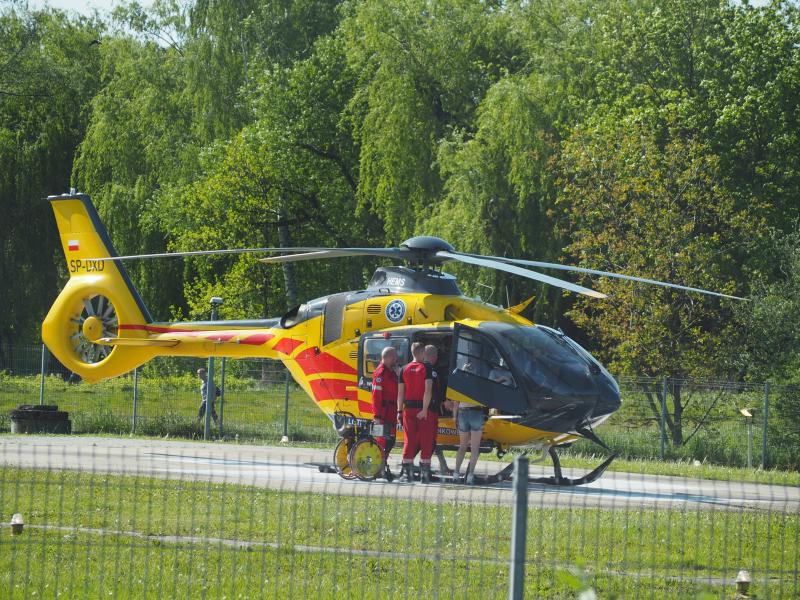Dramatyczny wypadek w Łomnicy. Koń kopnął właściciela, w akcji LPR