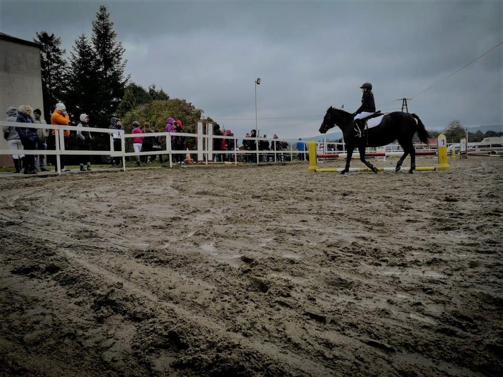 Sądecki Turniej Jeździecki w Kobylance, stajnia Galopada