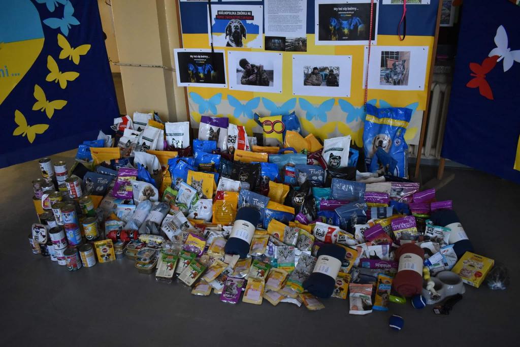 Dzieci ze Szkoły Podstawowej nr 6 ruszyły z pomocą Ukrainie