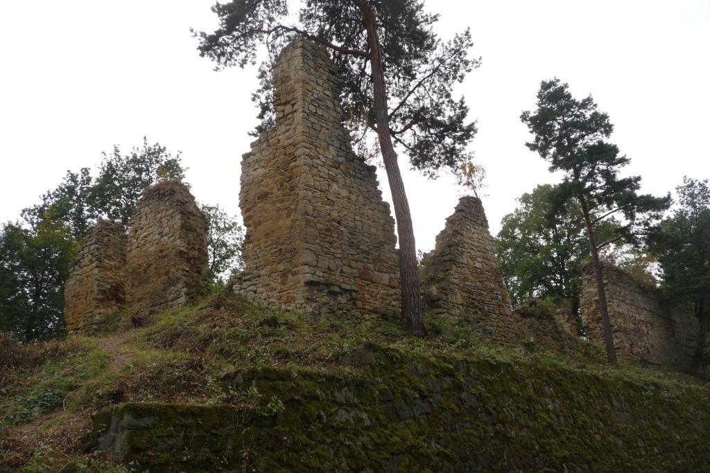 Ruiny zamku Zawiszy Czarnego w Rożnowie
