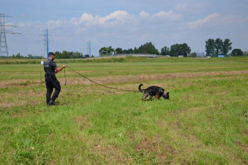 Policyjne psy zadbają o bezpieczeństwo na ŚDM