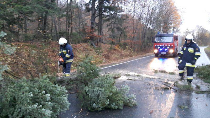 Strażacy usuwali powalone drzewa