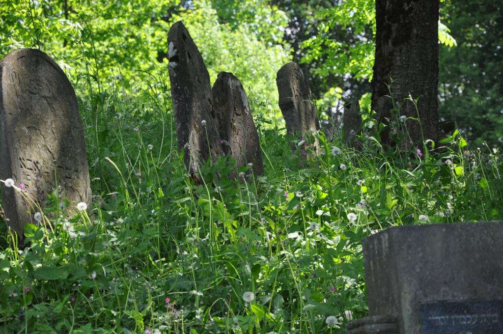 Cmentarz żydowski, fot. PK