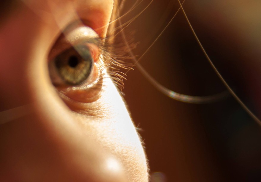 „Ślepa już jestem przez tę cholerną epidemię!” Optyk i okulista vs epidemia