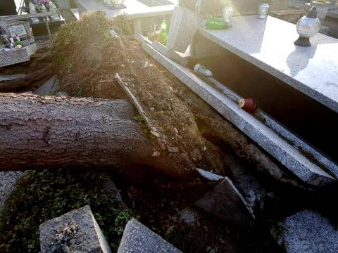 Wiatr przewrócił drzewo na cmentarzu w Nowym Sączu. Zniszczone został nagrobki