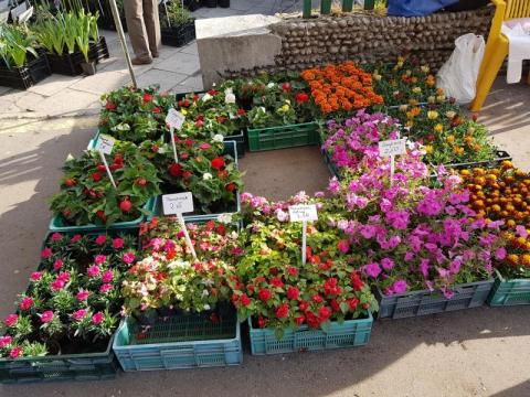 Nowy Sącz: Rynek Maślany kusi kupujących owocami, warzywami i pięknymi roślinami