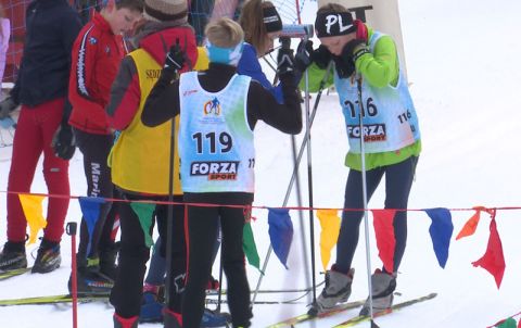 zawodnicy narciarstwa biegowego
