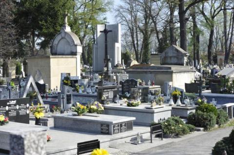 Nie pamiętasz gdzie pochowani są bliscy? Niektóre cmentarze mają wyszukiwarki i wirtualne mapy