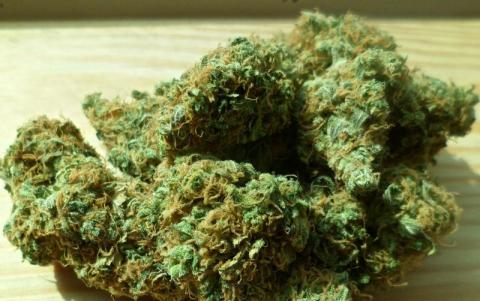 ONZ zdecydowała: marihuana nie jest ciężkim narkotykiem. Co z legalizacją?
