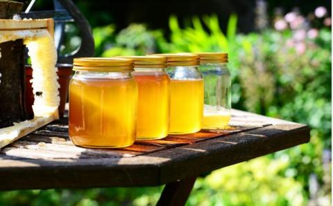 Produkty pszczele mogą być spożywane przez małe dzieci jaki i osoby w podeszłym wieku. Fot. Pixabay
