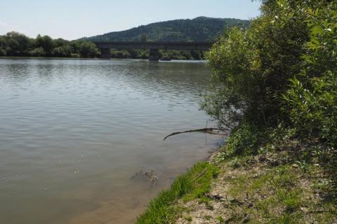 W Kurowie z Dunajca wyłowiono ciało. Czy to zaginiony Radosław Albrycht?