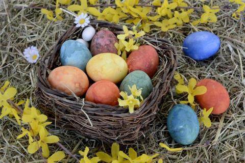 Naturalne sposoby na barwienie jajek na Wielkanoc