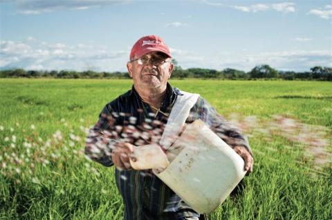 Obowiązkowy powszechny spis rolny 2020. Jakie pytania usłyszą rolnicy?