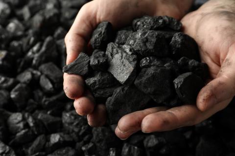 Muszyna przystępuje do programu dystrybucji węgla dla mieszkańców