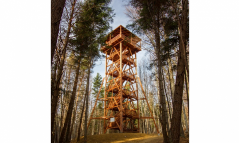 Wieża Ferdel w Wapiennym: kto zwiedzi, przepadnie z kretesem w Beskidzie Niskim