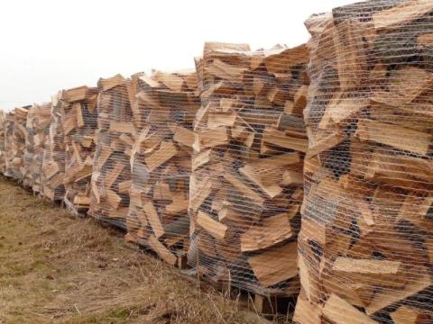 Chcesz kupić drewno opałowe od nadleśnictwa? Możesz to zrobić na dwa sposoby
