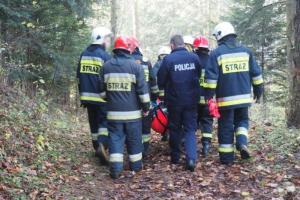 Z ostatniej chwili: Tragiczny wypadek w lesie w Złockiem. Nie żyje mężczyzna
